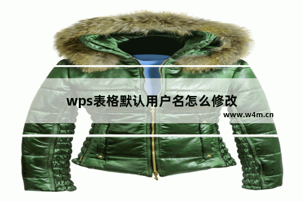 wps表格默认用户名怎么修改