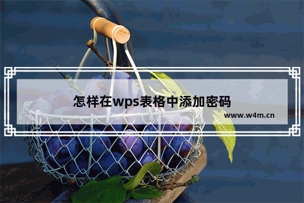 怎样在wps表格中添加密码