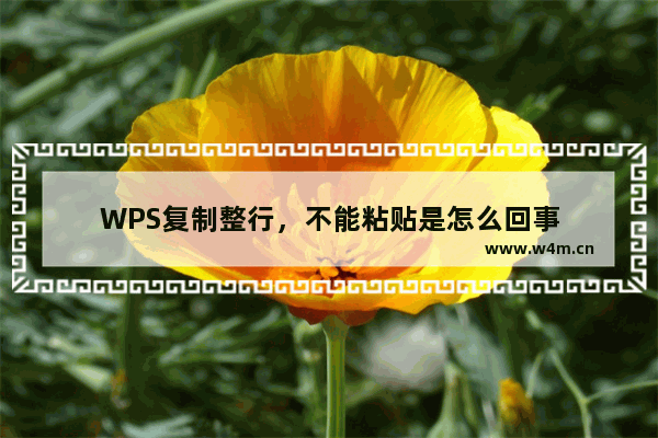 WPS复制整行，不能粘贴是怎么回事