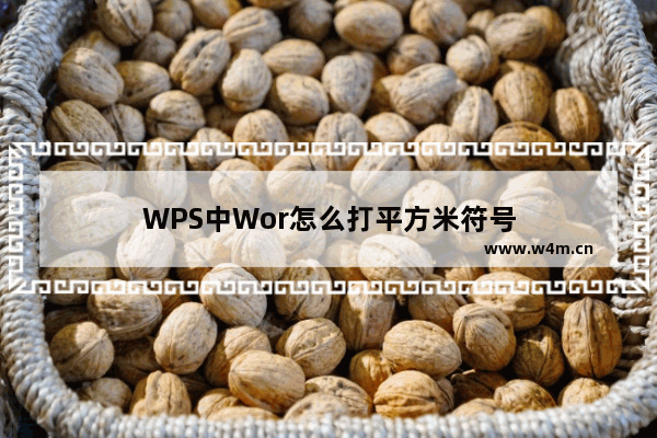 WPS中Wor怎么打平方米符号