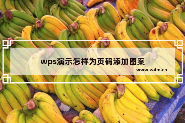 wps演示怎样为页码添加图案