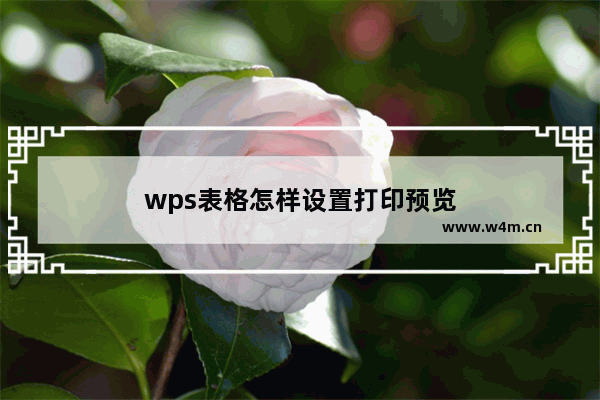 wps表格怎样设置打印预览