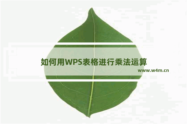 如何用WPS表格进行乘法运算