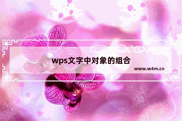 wps文字中对象的组合