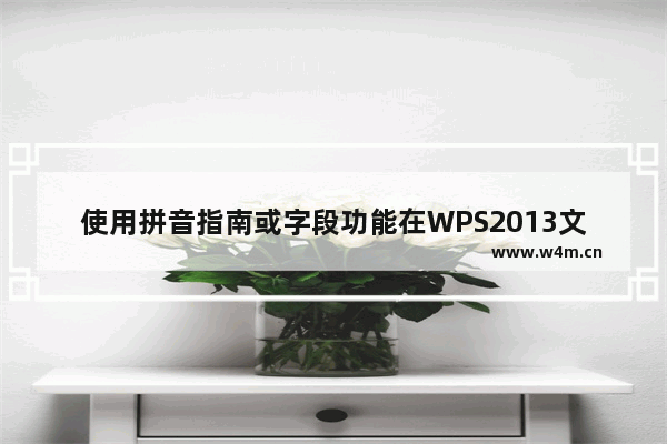 使用拼音指南或字段功能在WPS2013文本中输入循环小数