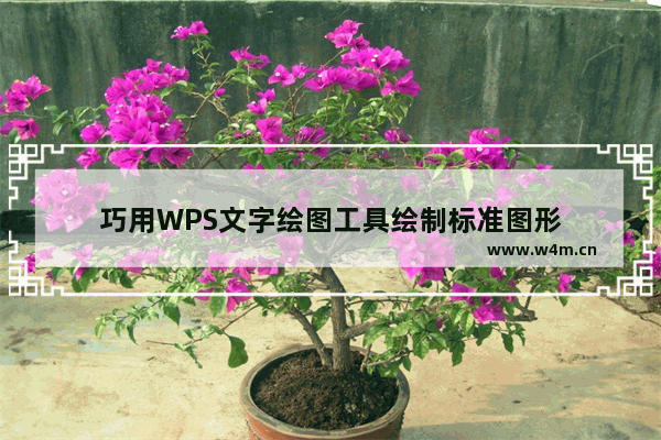 巧用WPS文字绘图工具绘制标准图形