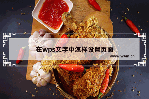 在wps文字中怎样设置页面