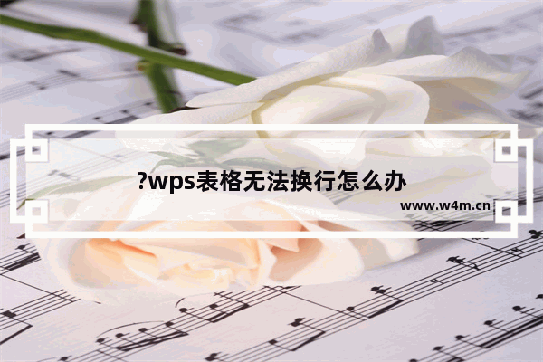 ?wps表格无法换行怎么办