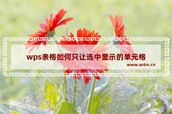 wps表格如何只让选中显示的单元格