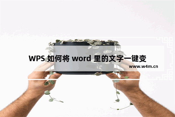 WPS 如何将 word 里的文字一键变整齐