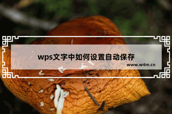 wps文字中如何设置自动保存