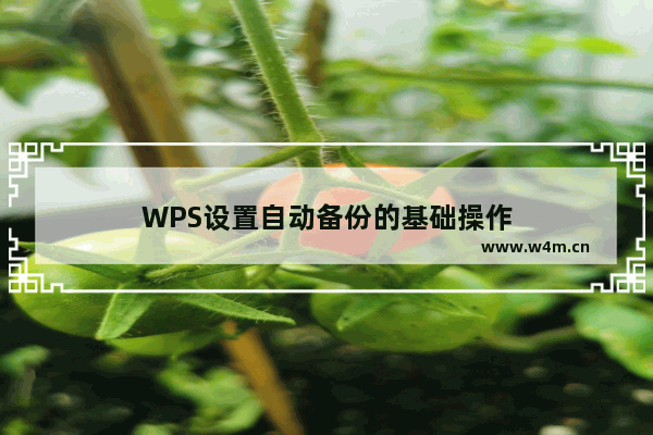 WPS设置自动备份的基础操作