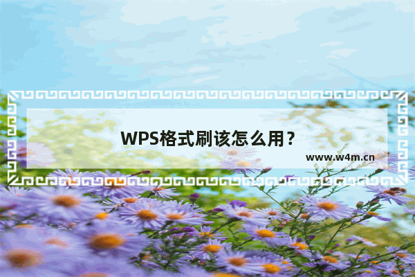 WPS格式刷该怎么用？