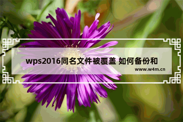 wps2016同名文件被覆盖 如何备份和恢复？