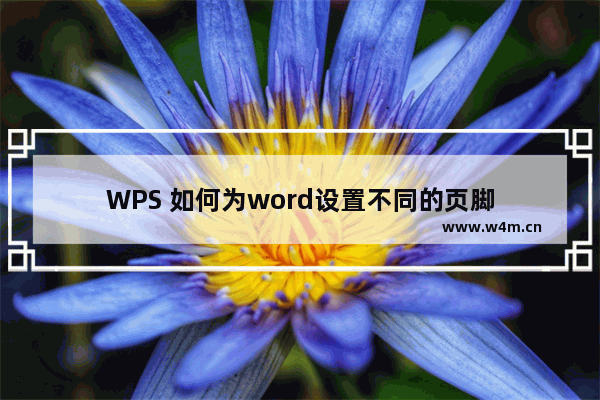 WPS 如何为word设置不同的页脚