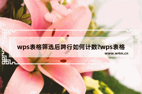 wps表格筛选后跨行如何计数?wps表格筛选后跨行的计数方法