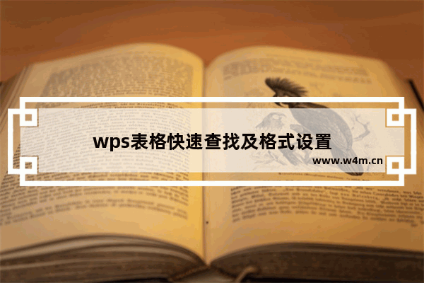 wps表格快速查找及格式设置