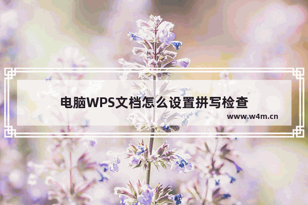 电脑WPS文档怎么设置拼写检查