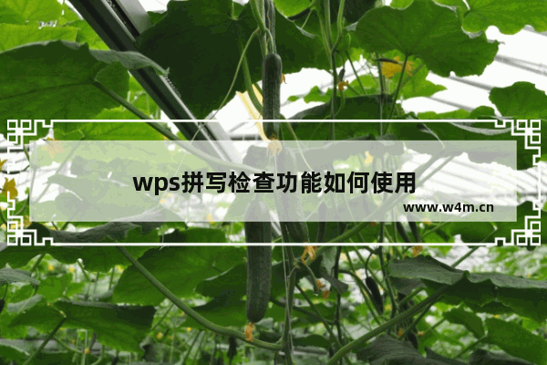 wps拼写检查功能如何使用