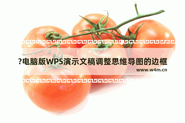 ?电脑版WPS演示文稿调整思维导图的边框粗细