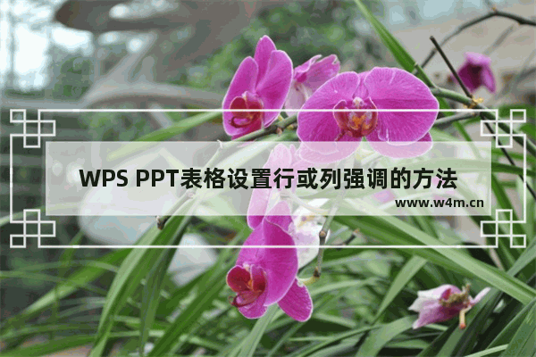 WPS PPT表格设置行或列强调的方法