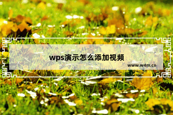 wps演示怎么添加视频