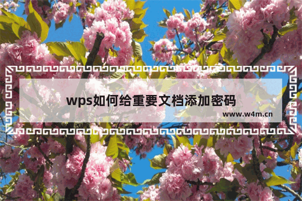 wps如何给重要文档添加密码