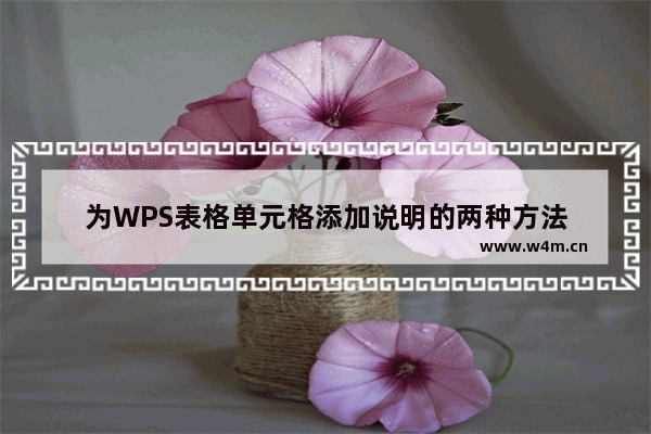 为WPS表格单元格添加说明的两种方法