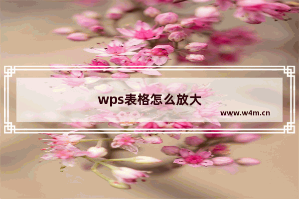 wps表格怎么放大