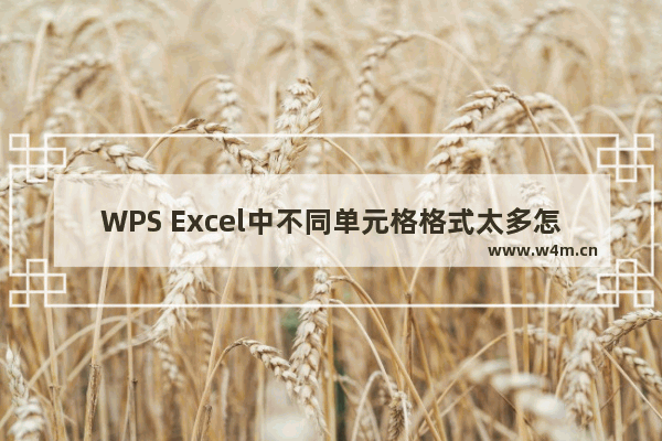 WPS Excel中不同单元格格式太多怎么办