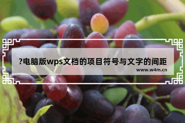 ?电脑版wps文档的项目符号与文字的间距怎么调整