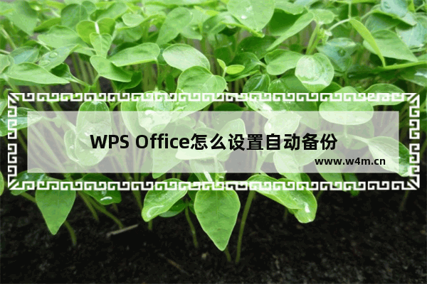 WPS Office怎么设置自动备份