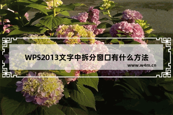 WPS2013文字中拆分窗口有什么方法