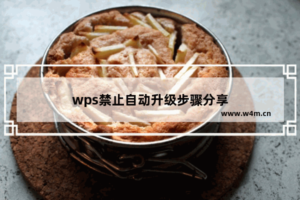 wps禁止自动升级步骤分享