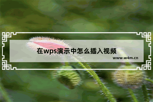 在wps演示中怎么插入视频