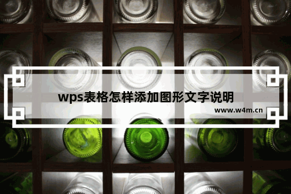 wps表格怎样添加图形文字说明