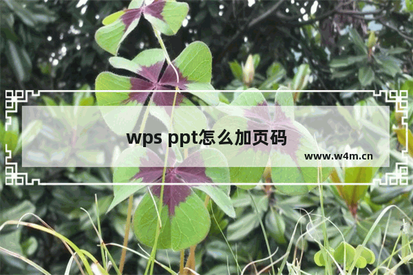 wps ppt怎么加页码