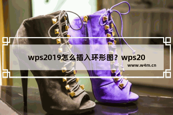 wps2019怎么插入环形图？wps2019插入环形图教程