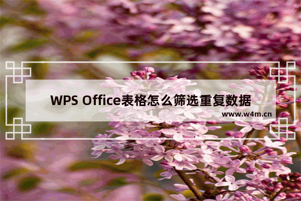 WPS Office表格怎么筛选重复数据