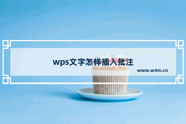 wps文字怎样插入批注