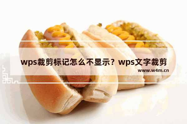 wps裁剪标记怎么不显示？wps文字裁剪标记不显示的方法教程