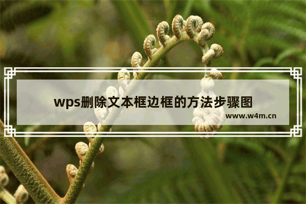 wps删除文本框边框的方法步骤图