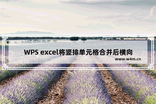 WPS excel将竖排单元格合并后横向置于一个单元格