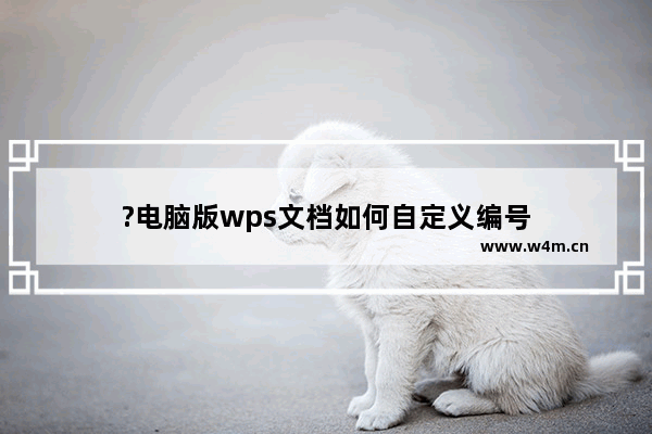 ?电脑版wps文档如何自定义编号