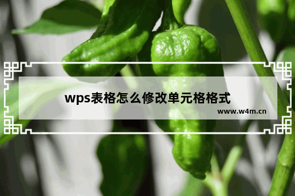 wps表格怎么修改单元格格式