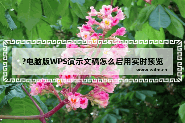 ?电脑版WPS演示文稿怎么启用实时预览