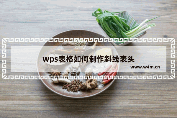 wps表格如何制作斜线表头