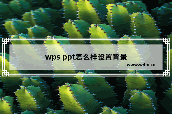 wps ppt怎么样设置背景