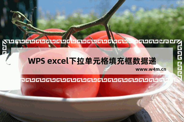 WPS excel下拉单元格填充框数据递减的方法