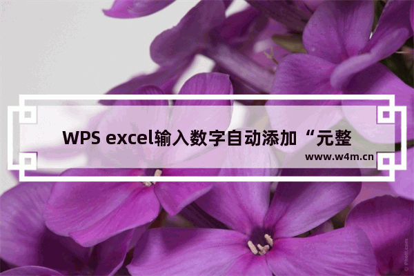 WPS excel输入数字自动添加“元整”